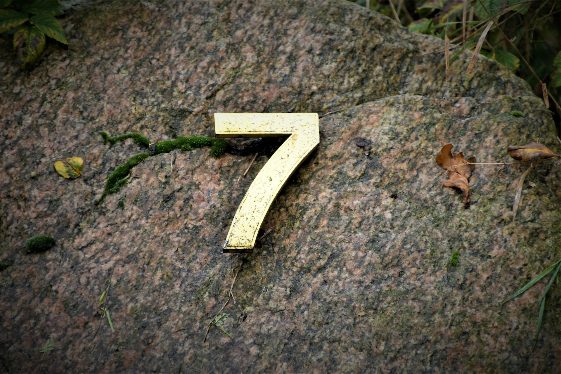 Life Path Number 7 Meaning