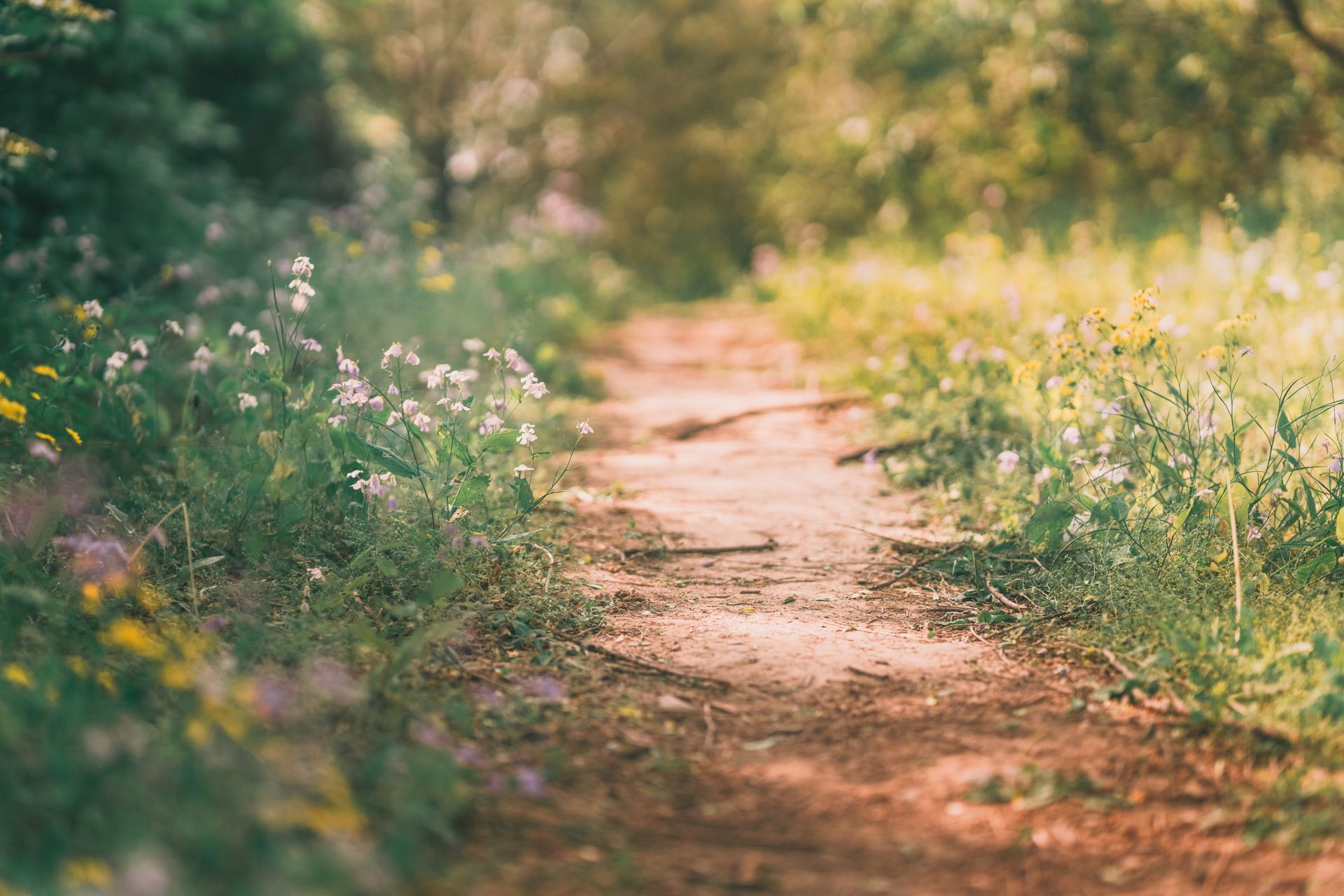 What Is My Life Path Number? A Complete Numerology Guide
