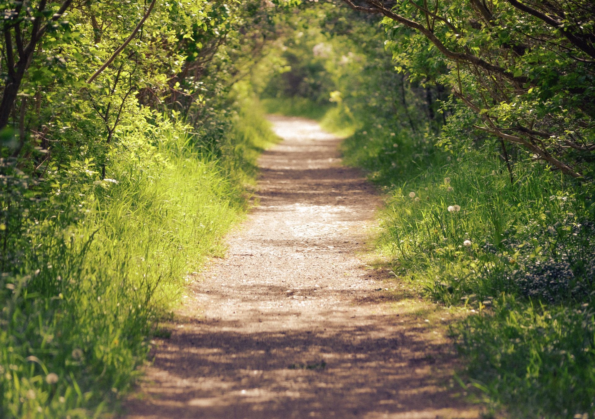 Numerology Compatibility by Life Path